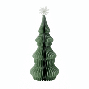 Paulia træ | 30cm