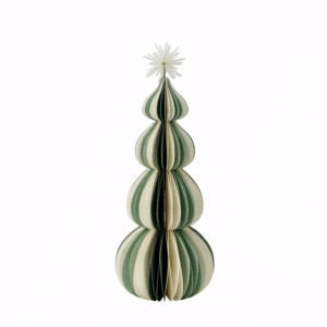 Paulinia træ | 25cm